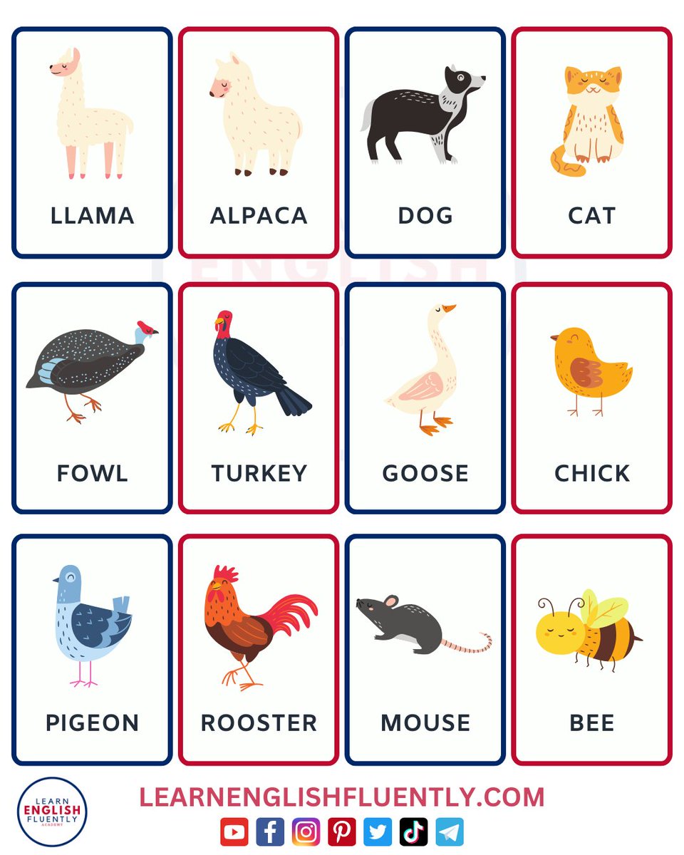 Discover and enrich your English animal vocabulary! 🐥🐸
Do you know all the names of animals in English? 🐶🐱
What's your favorite? 🔥

#learnenglish #englishlearning #esl #vocabulary #grammar #languagelearning #englishclass #speakingenglish #englishtips #studyenglish #inglese