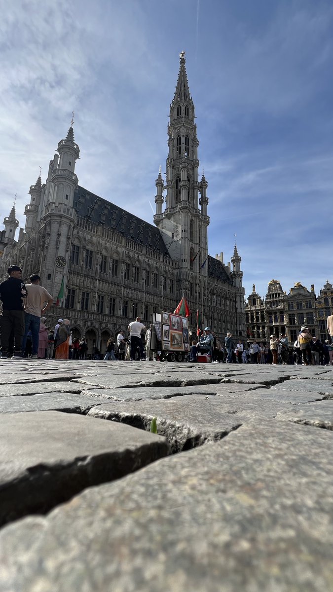 محمد البريكـــــي tweet media