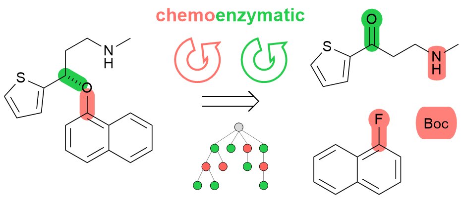DavidKreutter's tweet image. 📢Preprint expanding our multistep retrosynthesis tool to biocatalysis with transformers trained on Reaxys experimental data now explores mixed chemo and biocatalytic routes! 

Preprint: chemrxiv.org/engage/chemrxi…
GitHub: github.com/reymond-group/…

@jrjrjlr @reymondgroup #biocatalysis
