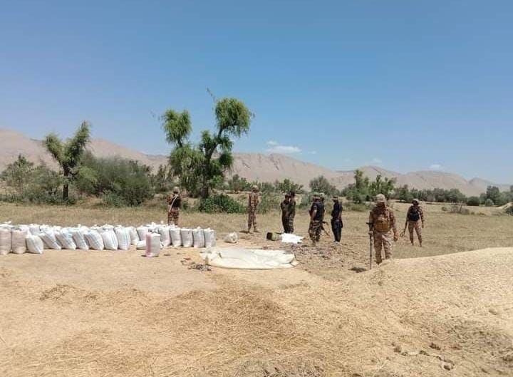 ڈیرہ بگٹی: پاکستانی فورسز مقامی کسانوں کا اناج لوٹ رہے ہیں ۔