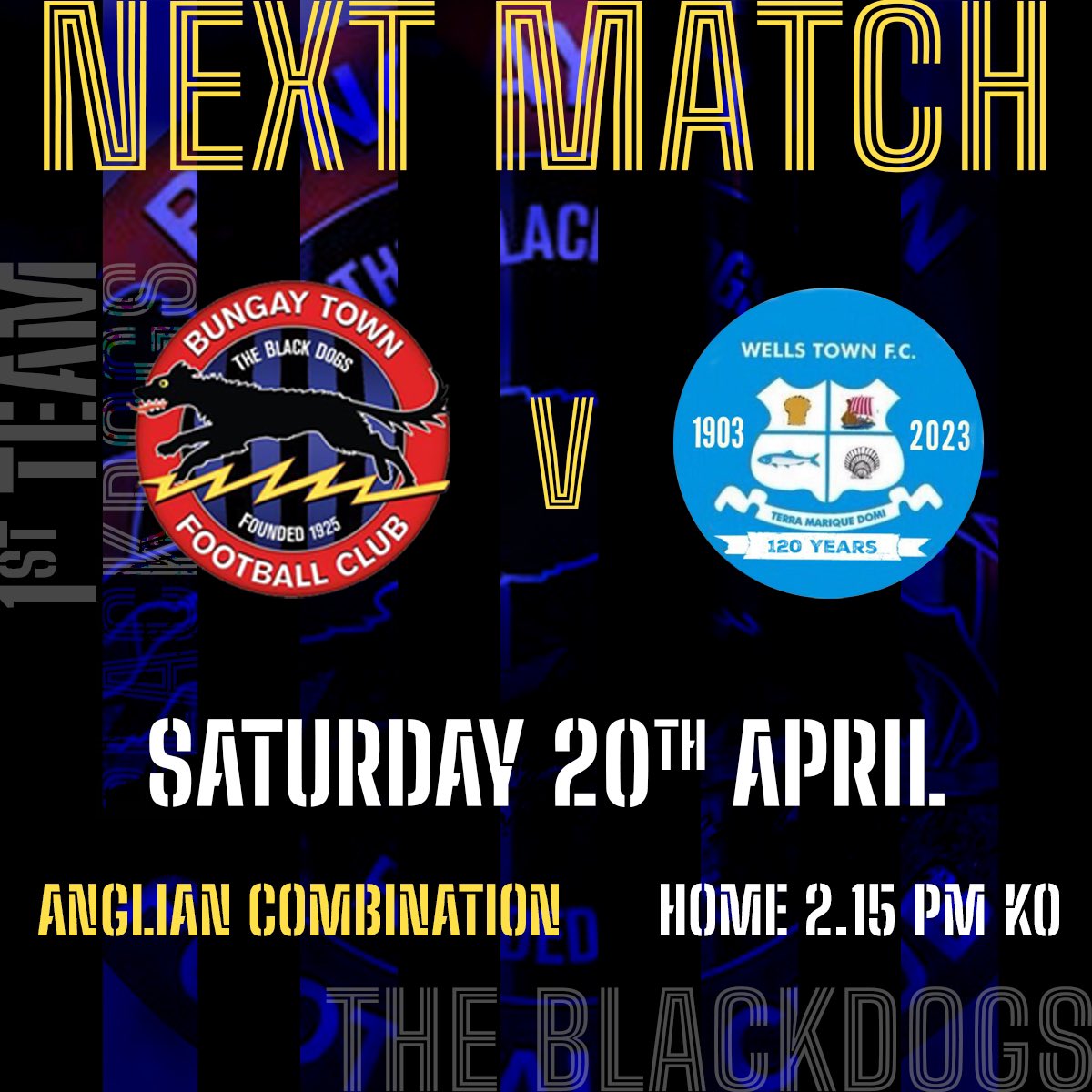 First Team at home again this Saturday as we look to clinch promotion vs @WellsTownFC #blackdogs