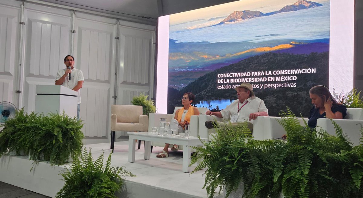 Ayer moderé un panel de lujo con @mroblesg @JuanBezaury y @JuliaCarabias en la Presentación del Libro Blanco sobre Conectividad en México, en el marco del cierre de la primera fase del Proyecto Bioconnect. Muchas gracias a la @AFD_es y a la @SEDEMA_CDMX por la invitación
