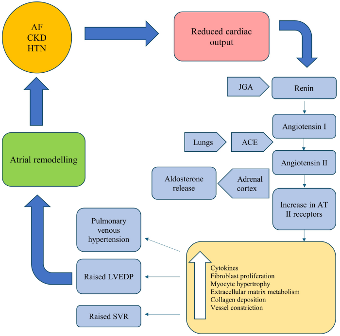 🆕 Fibrilación auricular y enfermedad renal crónica: Etiología y tratamiento.

📕 Rev Cardiovasc Med
🔓 cardioteca.com/arritmias/5691…