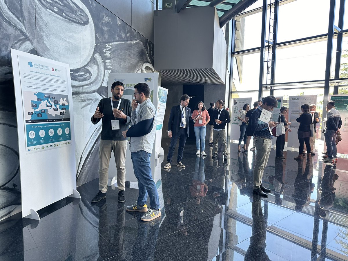 Oneforest_H2020's tweet photo. Second round of the poster exhibition at the #ONEforestFinalEven! 

🌲🌍 Now featuring other #EUprojects and EU forestry networking! 

#Forestry #EUresearch #INNOVAForONE #ONEforestFinalEvent #H2020 #EUforest https://t.co/g6WQAwv4Mg