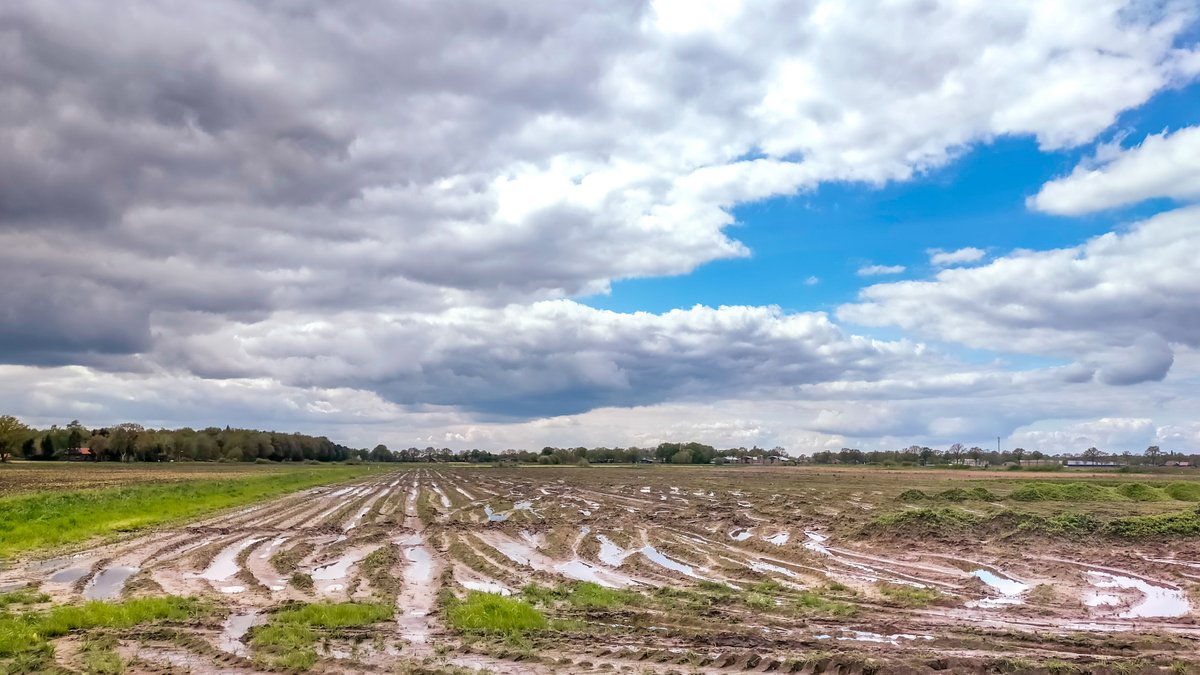 joshebben's tweet photo. Toenemende bewolking en erg nat #Weert #Stramproy @weeronline @Weerplaza @MeteoVoorne @MeteoLimburg @BuienRadarNL https://t.co/nP7NB0RHWX