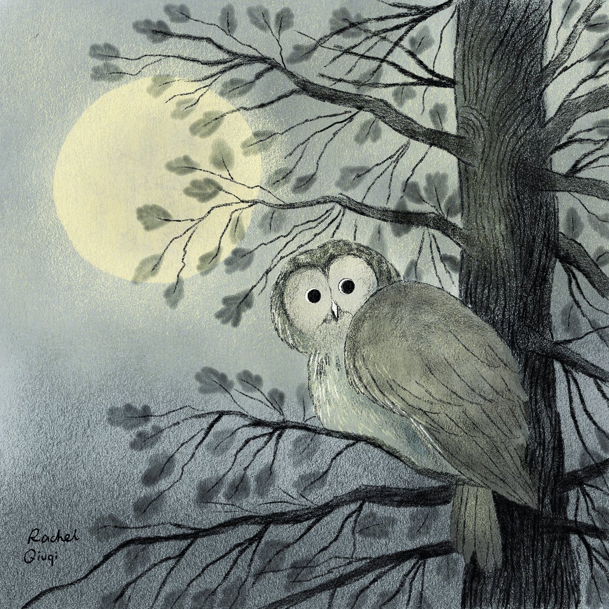 Owl sketch
#kidlitart