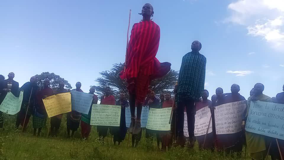 🚨🚨#Tanzania #Ngorongoro ‼️ Marking World Heritage Day, the Maasai in all divisions of Ngorongoro district held protests Ndugu zetu wamaasai leo wameadhimsha siku ya Urithi wa Dunia kwa maandamano ya mabango ✊🏽 Natamani watanzania wote tungekuwa na umoja na uthubutu namna hii