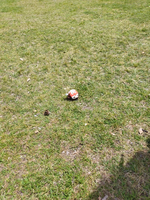 旦那の鷹がプレゼント持っていった時の解像度が上がったので最高でした(?)野生動物に舐められているこれは虚無のおうるっく。 