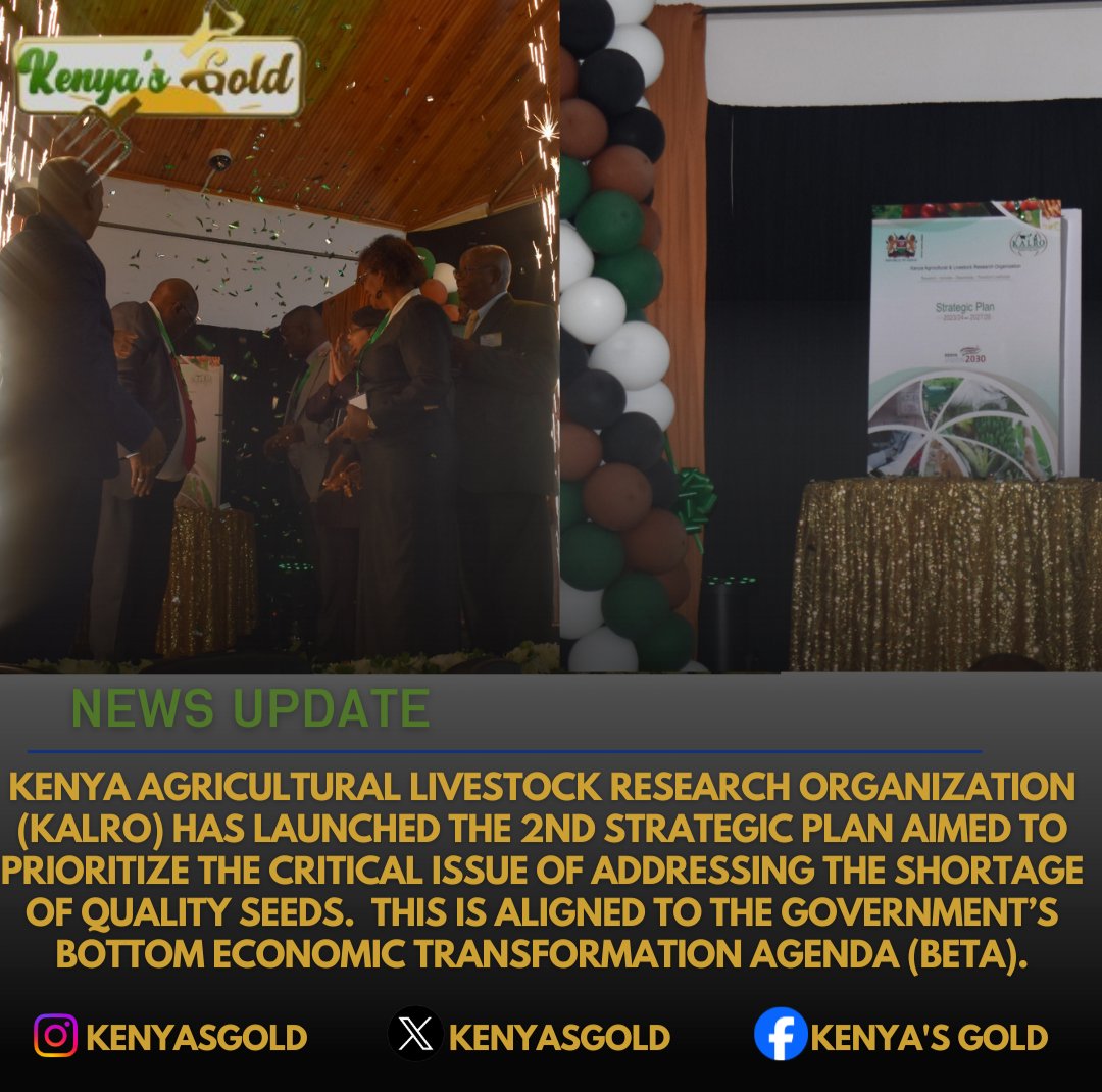 kenyasgold's tweet photo. #KenyasGold https://t.co/vMB4mHIAWd