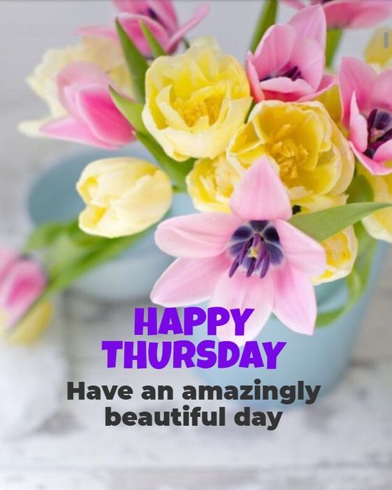 Happy Thursday! Don't be average, be outstanding! 🌞 #happythursday #spring #flowers #beoutstanding #positivelysunshine