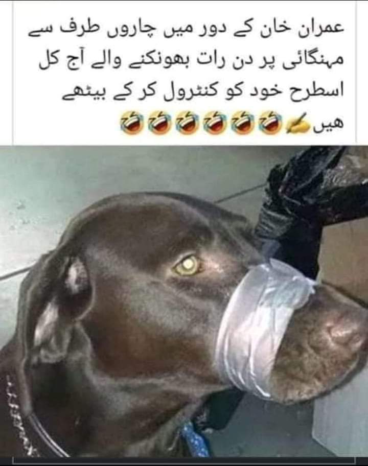 Shoaib Khan tweet media