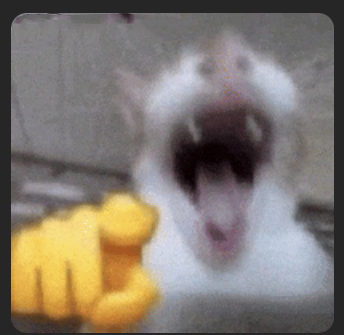 arrowroses.eth tweet media