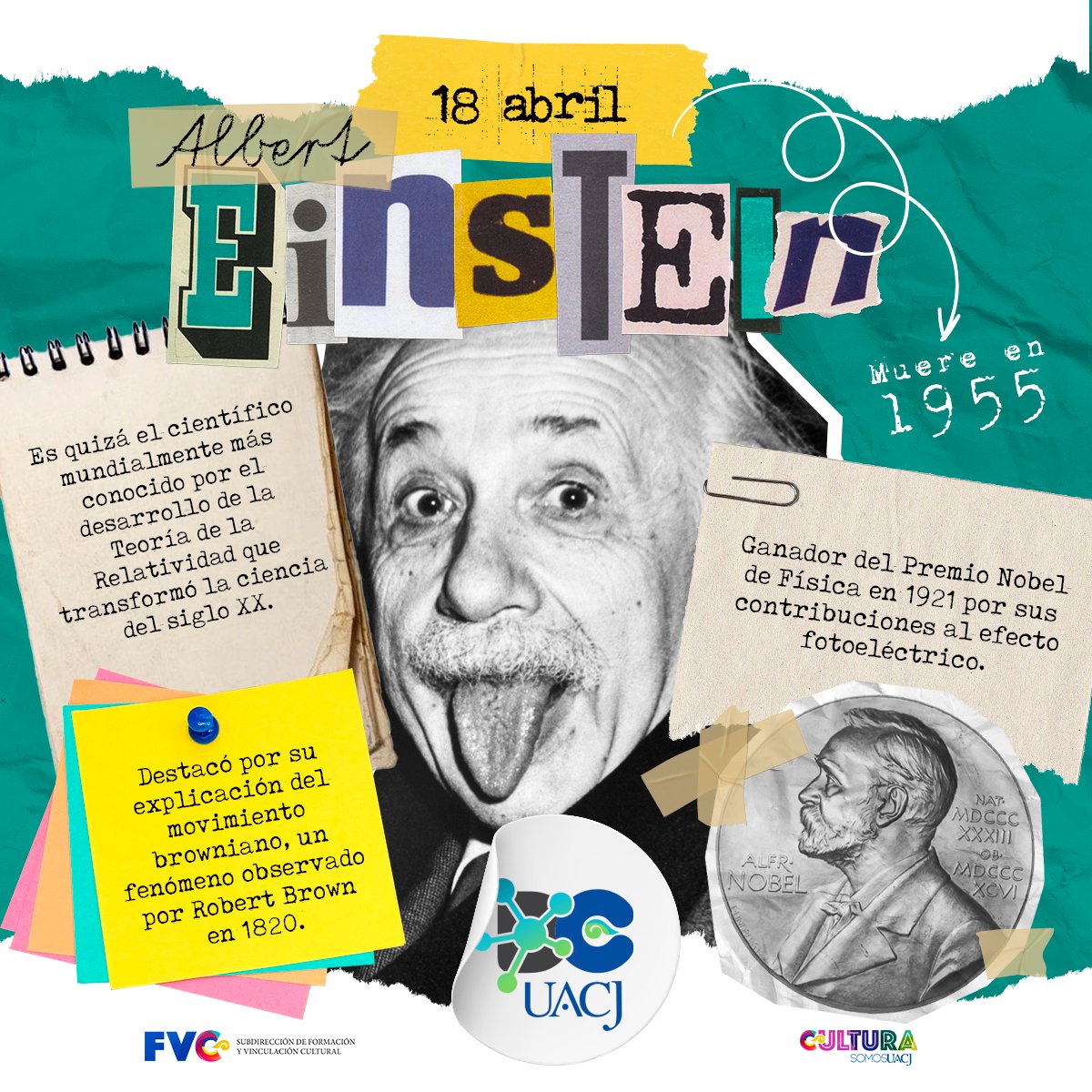 CIENCIAUACJ's tweet photo. #UnDíaComoHoy pero de 1955, muere Albert Einsten, uno de los científicos + influyentes de todos los tiempos. Einstein realizó contribuciones a la mecánica cuántica, la teoría cinética y la cosmología. La ecuación E=mc² ha sido fundamental en el desarrollo de la energía nuclear https://t.co/fUBg0TtdvE