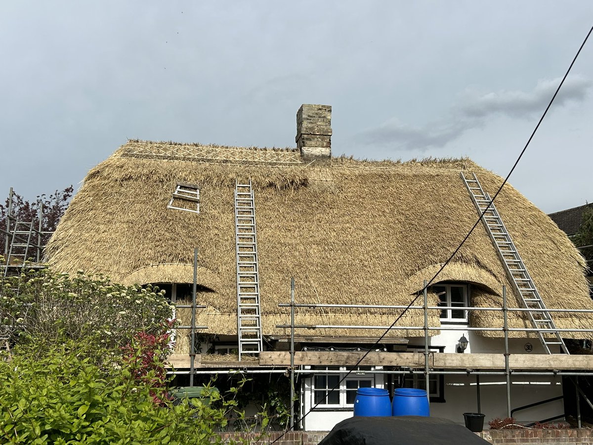 All thatched in and first quarter of the ridge pegged down. Rather typically the other ridge is 18” shorter, which on a small roof, is a huge amount. #thatching #masterthatchers #ruralcrafts #cambridgeshire
