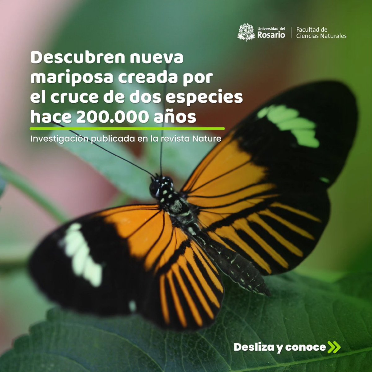 Escuela de Ciencias e Ingeniería-UR tweet media