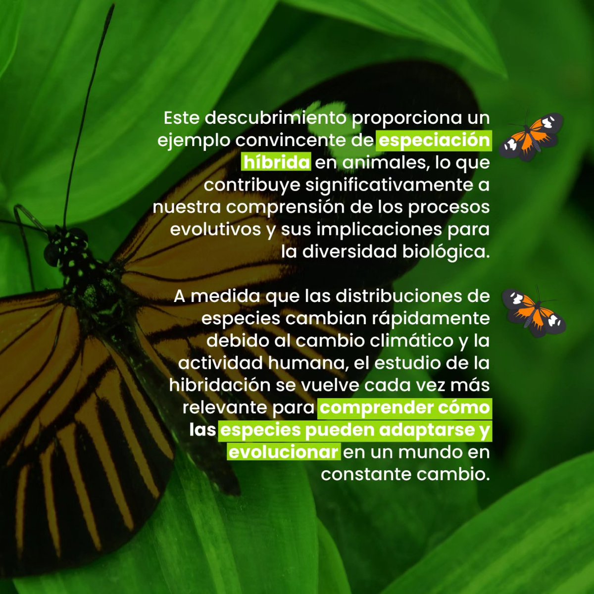 Escuela de Ciencias e Ingeniería-UR tweet media