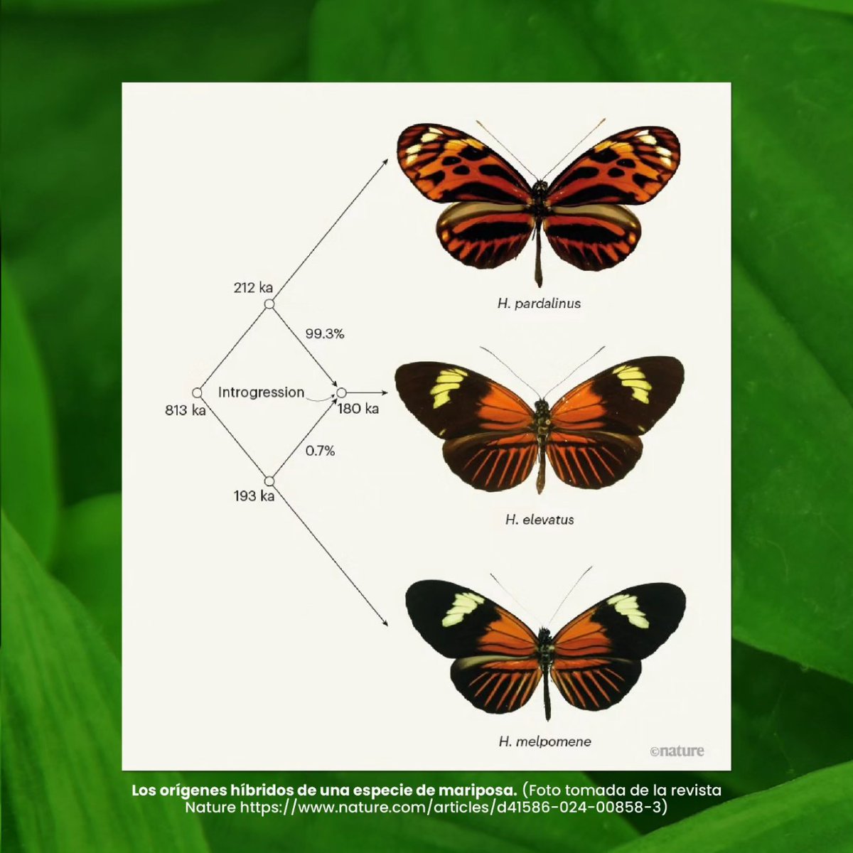 Escuela de Ciencias e Ingeniería-UR tweet media