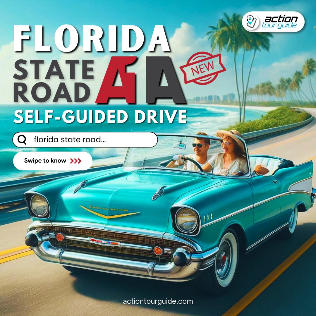 actiontourguide's tweet photo. This self-paced adventure is perfect for soaking up the sunshine, uncovering hidden wonders, and creating memories that last a lifetime! #Florida  
Check out the link below!
https://t.co/bLhc24VJaJ https://t.co/fXIfNk1A3k