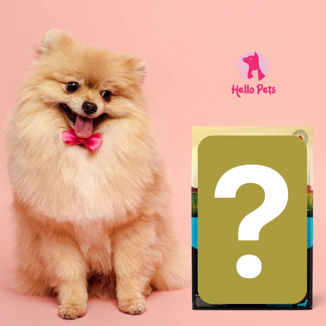 HelloPetsHFX's tweet photo. 🐾 Exciting News for our Hello Pets communit! 🎉 We are super excited to add a new brand of premium pet food to our shelves. Can you guess which brand is joining our lineup? Stay tuned for the big reveal next week. 🐶😻 https://t.co/4MJFq5yTiA