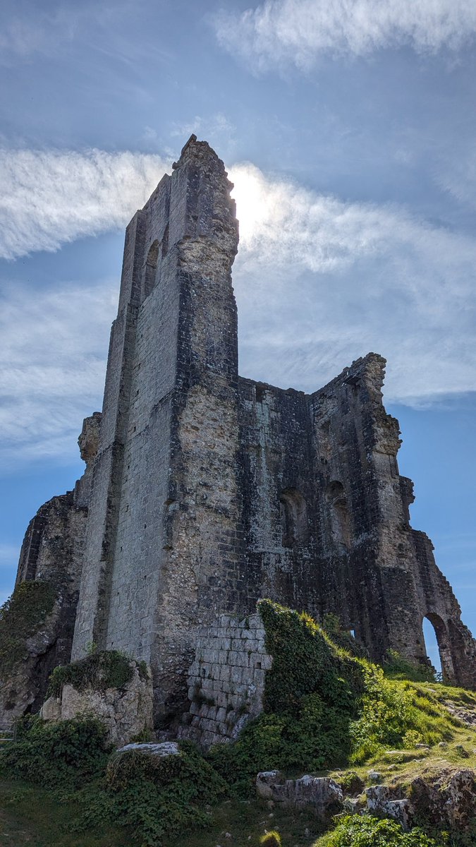 Amazing weather at @CorfeCastleUK, watching a peregrine falcon and a raven go at it amongst the Civil War-slighted ruins of the keep. Glorious.