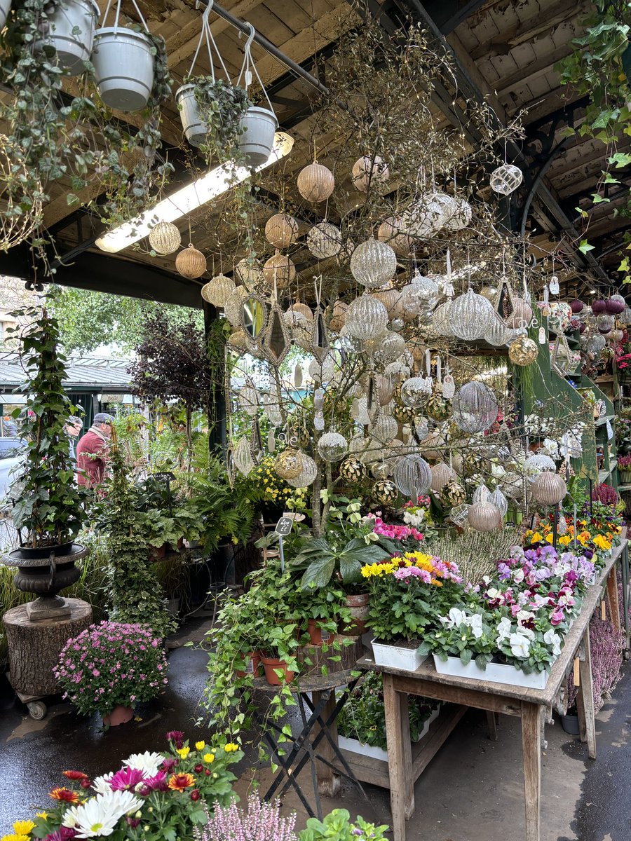 Fairy, you must visit the flower market when you come to Paris. It’s not far from Notre Dame (you might already know it). The first 2 photos I took today, the last 2 in November. @immaggi