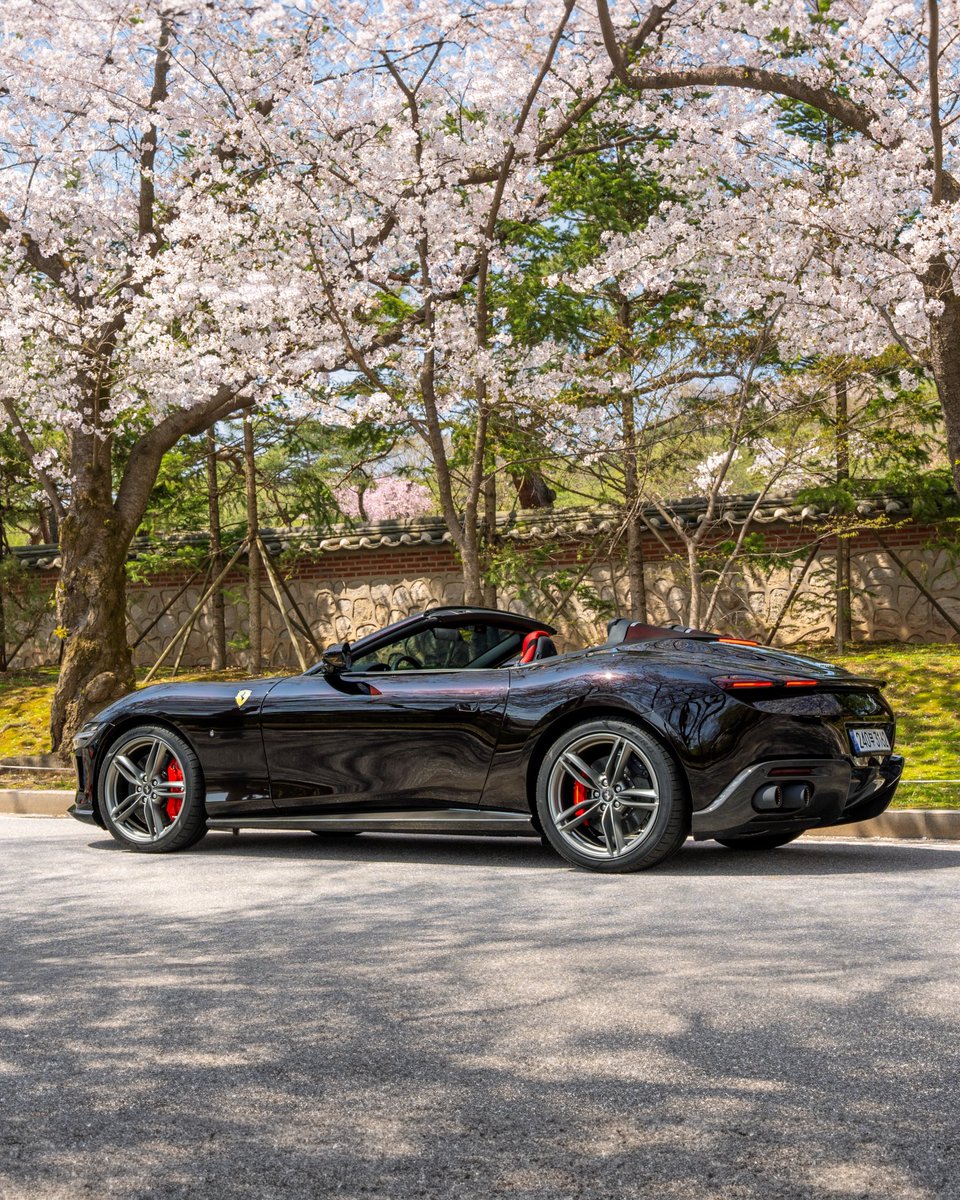 Ferrari's tweet photo. With impeccably smooth lines, a timeless design and carefree vibes, the #FerrariRomaSpider makes it clear that brilliance is something that never stops blooming.

#LaNuovaDolceVita #YonginSi #Korea #Ferrari https://t.co/ZzPf99fbUu
