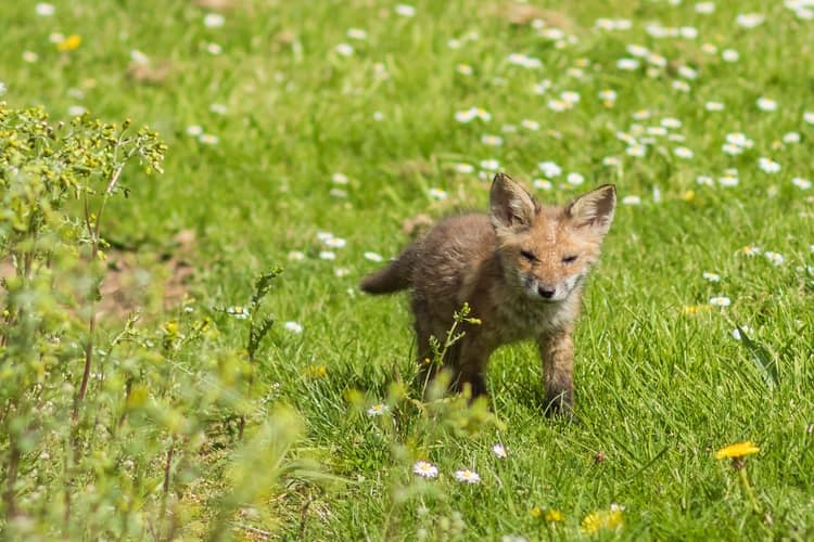 B31Voices's tweet photo. SWBrumEVENTS - #EarthDay @ #WeoleyCastle Ruins
INFO: https://t.co/lTxQv4erkd

📅 Sat 20 April
🕚 11am-4pm
🏷️ Feee, no booking required
ℹ️ Various activities throughout the day including animal shows with ZooLab &amp; craft fun with Wild Earth Movement https://t.co/UimSVBBQYg