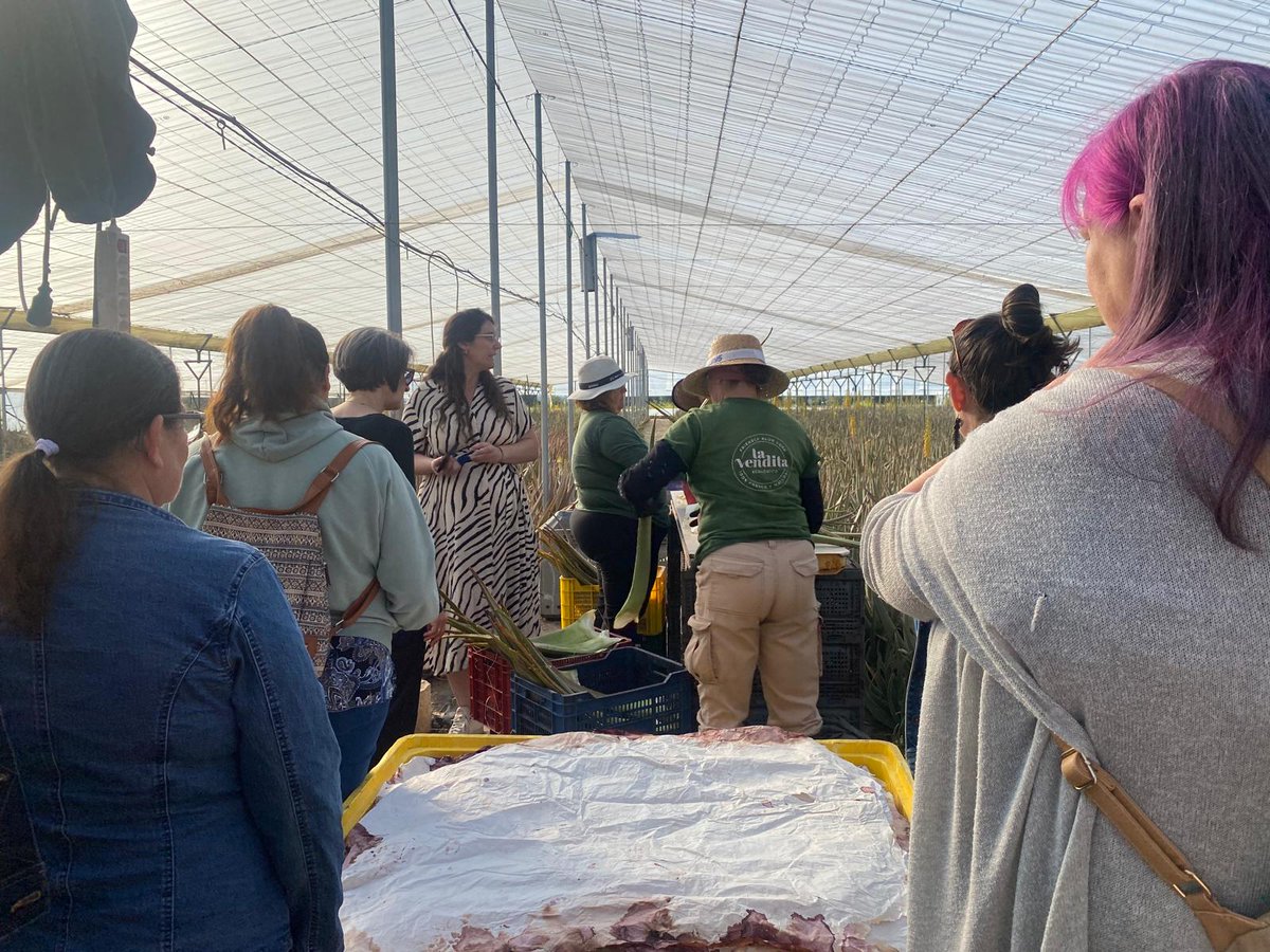 CFMRDonBenito's tweet photo. Visita técnica de *alumnas*del Curso de producción y comercialización de plantas aromáticas y medicinales a la empresa: 
“ La Vendita- Aloe Vera Ecológico” N-430, km, 06412 Hernán Cortés. https://t.co/hgNalHsh3b