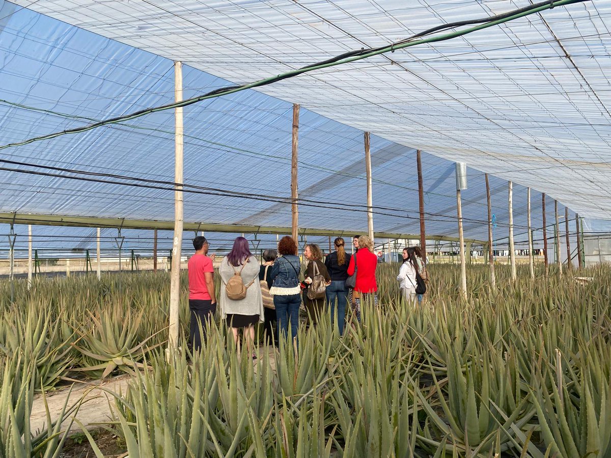 CFMRDonBenito's tweet photo. Visita técnica de *alumnas*del Curso de producción y comercialización de plantas aromáticas y medicinales a la empresa: 
“ La Vendita- Aloe Vera Ecológico” N-430, km, 06412 Hernán Cortés. https://t.co/hgNalHsh3b