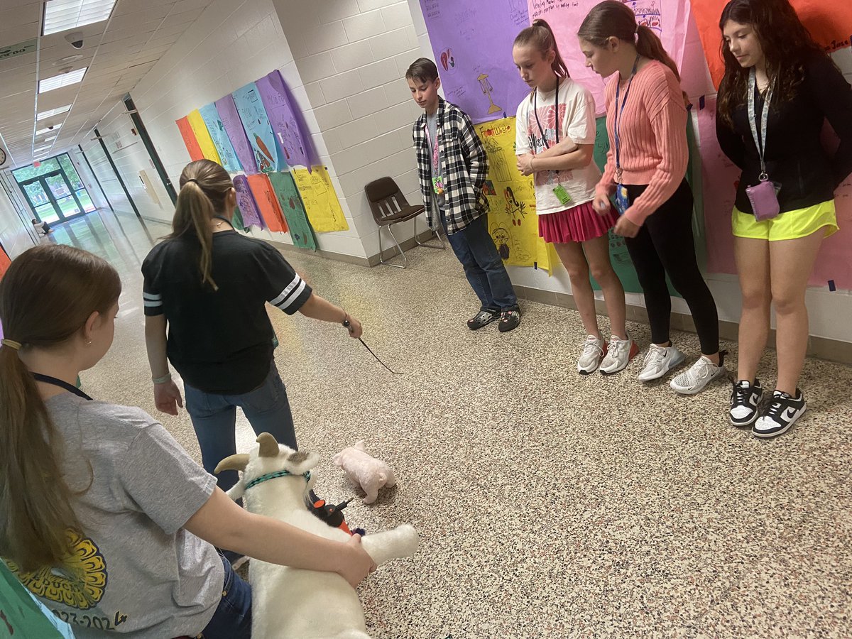 AHalling_CTE's tweet image. Thank you @KingwoodFFA for making our day awesome! @HumbleISD_RMS @HumbleISD_CTE students had a blast learning all about agriculture!
@HumbleISD_KHS 

@roser_matthew @MrsDawnPeter 
@HumbleISD #rmsclassof2030
#REPHARD  #HumbleCTE @ElizabethFagen