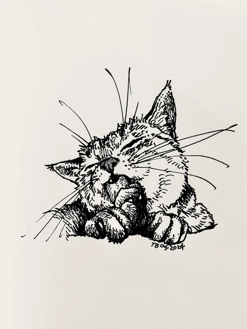 段々猫の絵の人だと思われている気がしてきましたが猫の絵の人ではありません。時々猫はいます。 