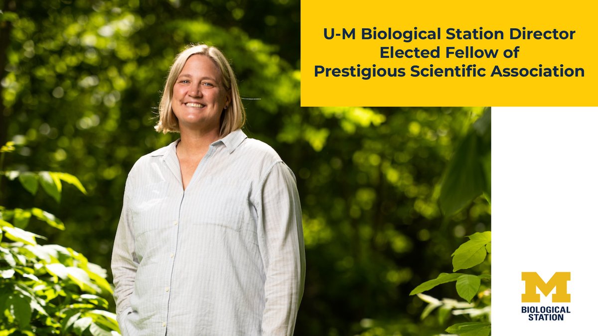 The leader of the University of Michigan’s 10,000-acre research and teaching campus in northern Michigan has been elected as a Fellow of the American Association for the Advancement of Science (@aaas). Congratulations to @UMBS Director Aimée Classen! myumi.ch/6y1Vr