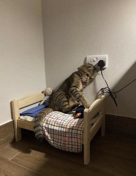 sinrusak's tweet photo. Wanna kill myself https://t.co/Tvp5JWEvHc