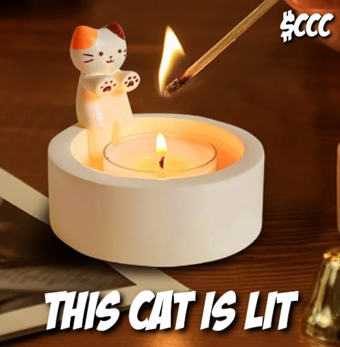 Hey Cute Cat's!

We are about to bring a heat wave to <a href="/base/">Base</a> chain.

We are thrilled to welcome another dev to our team! Get ready for some exciting times ahead!

The cat is just warming up 👐🔥