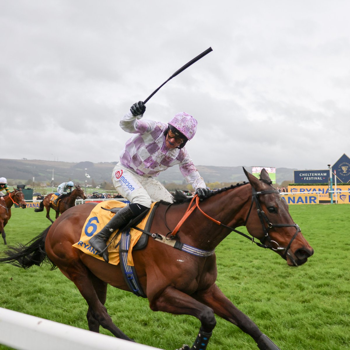 Golden Ace WINS the Listed Mares' Novices' Hurdle at Cheltenham 👏