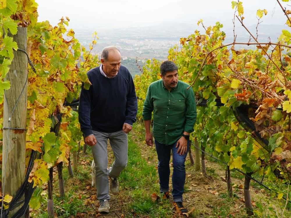 Ves-hi ara, en primavera! <a href="/castelldencus/">Castell d'Encus</a> és el celler del prestigiós Raül Bobet als Pirineus. És únic pel paisatge, la història i els vins, fruit de la recerca💚

T'ensenyen els cups de pedra excavats pels monjos al segle XII i on ara es fermenten vins

enoturista.cat/celler/castell…