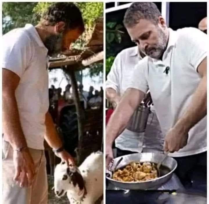 AmitTiw77096526's tweet photo. पहले प्यार किया फिर काट कर खा गए…
नफरत के बाजार में मोहब्बत की दुकान खोल दी
बस इसी बात को हमे समझना है,
@iSinghApurva

#ले_क्लिपकटुआ_देख_ले https://t.co/vKiNfUPNJJ