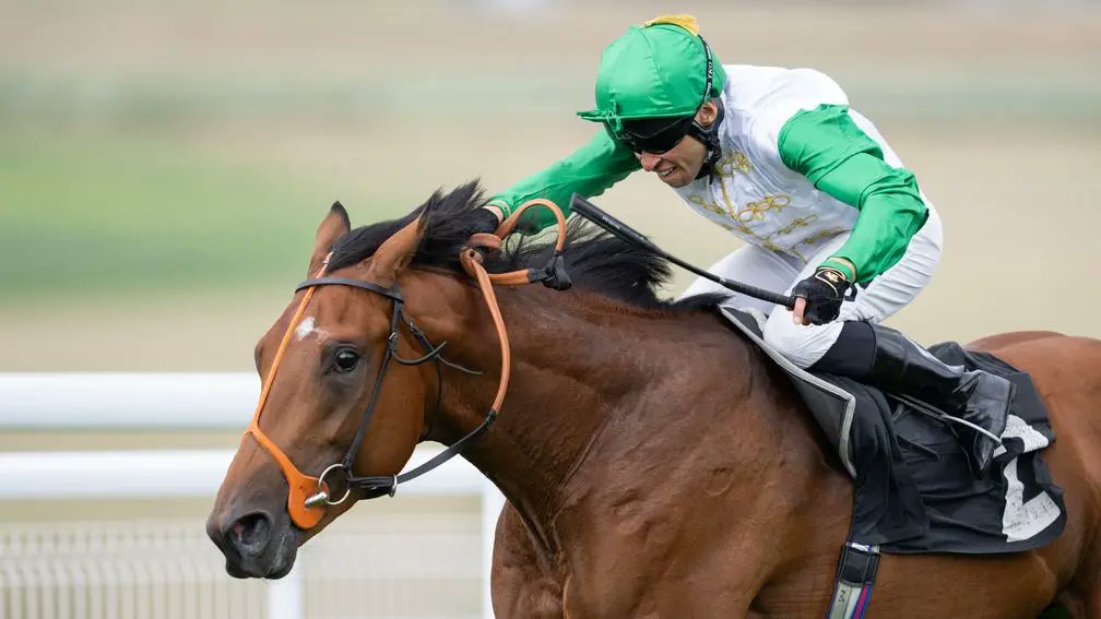 Phoenix Of Spain colt Haatem adds a second Group-race win to his name in the Craven Stakes. Last year's Vintage Stakes winner was bred by Hyde Park Stud and sold to Peter and Ross Doyle for 27,000gns at Tattersalls Book 2 when consigned by Sherbourne Lodge.