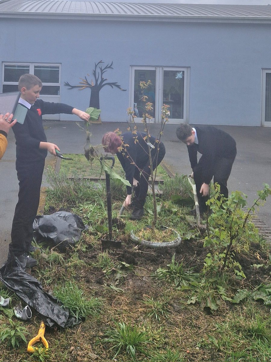 LadybridgeHigh's tweet photo. Great #teamwork from Mrs Potter's volunteers, who have stayed after school today to prepare outdoor beds for planting 🌿 #LadybridgeLearners #gardening #curiosity https://t.co/KKYXhh5Ztg