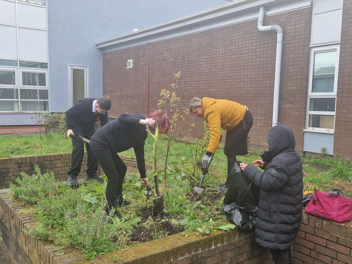 LadybridgeHigh's tweet photo. Great #teamwork from Mrs Potter's volunteers, who have stayed after school today to prepare outdoor beds for planting 🌿 #LadybridgeLearners #gardening #curiosity https://t.co/KKYXhh5Ztg