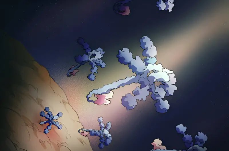 Umbrella-shaped antibacterial toxin particles drifting toward and engaging a bacterial target cell. The toxins are derived from Streptomyces and potently inhibit the growth of competing species in the same genus. 
Credit: Angela Gao