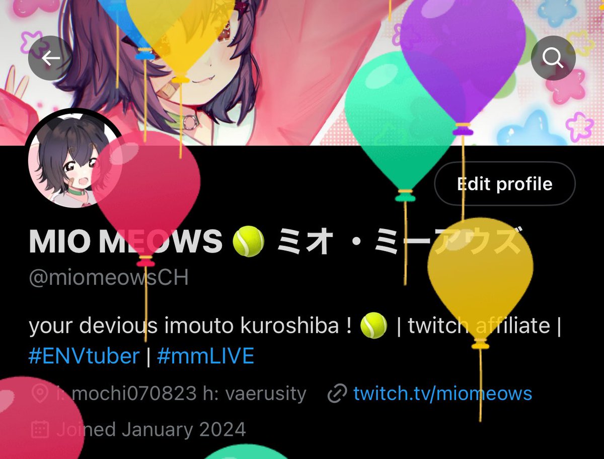 miomeowsCH's tweet photo. it’s mio day, meowcenaries! please forfeit all your earthly possessions (and treats) to me. thank you! #humble 🎾🐕 https://t.co/fPS8llGYn2