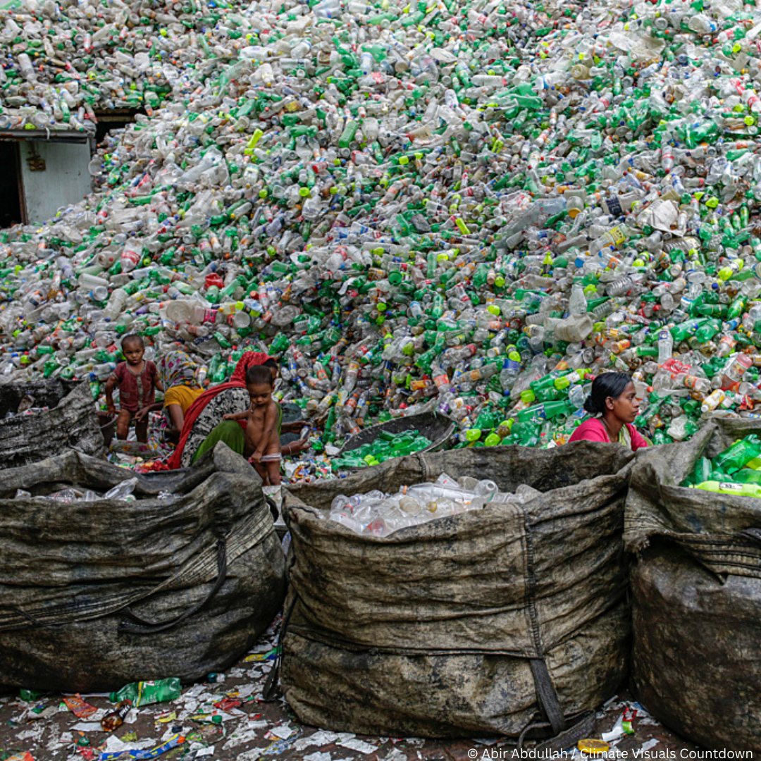 WWFSouthAfrica's tweet photo. Join the global call for a ban on single-use plastics! 🚫🥤 Add your voice at https://t.co/mfsBMslb7C and urge governments to act at #INC4 in Canada next week. Together, let's #StopPlasticPollution! https://t.co/tffbYlrgR2
