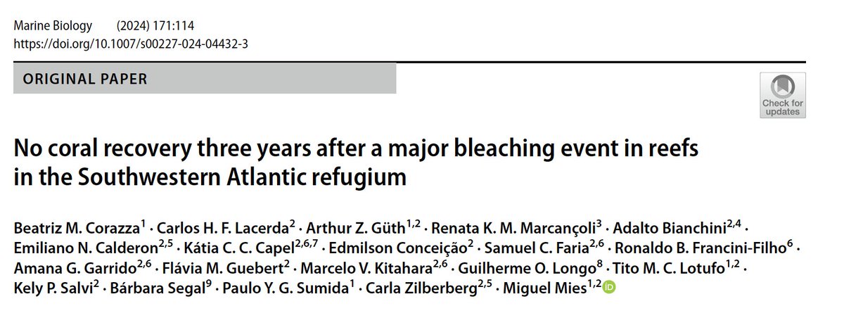Miguel Mies (@miguel_mies) on Twitter photo New paper by our team just published in <a href="/Mar_Biology/">Marine Biology</a>!
Unfortunately, reefs in the Southwestern Atlantic did not experience any coral cover recovery since the last bleaching event and the current one.
link.springer.com/article/10.100…
<a href="/Coral_Vivo/">Projeto Coral Vivo</a> New paper by our team just published in <a href="/Mar_Biology/">Marine Biology</a>!
Unfortunately, reefs in the Southwestern Atlantic did not experience any coral cover recovery since the last bleaching event and the current one.
link.springer.com/article/10.100…
<a href="/Coral_Vivo/">Projeto Coral Vivo</a>