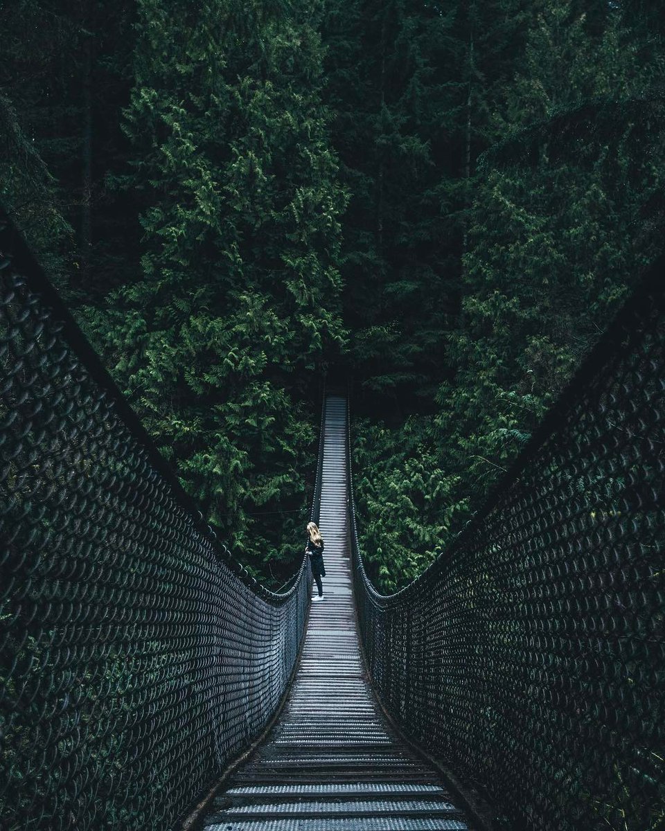 Lynn Canyon Bridge, Vancouver, BC