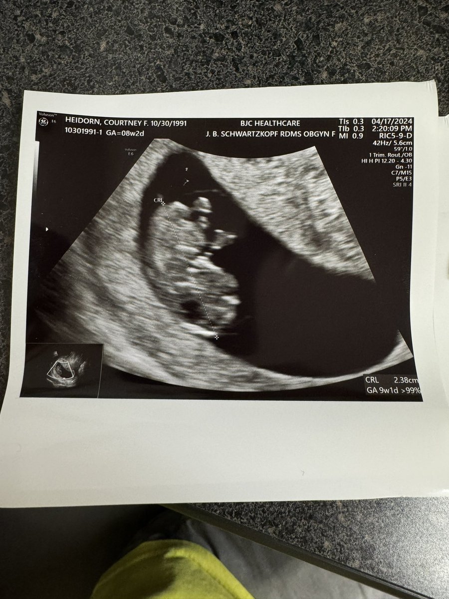 The 8th graders really wanted me to announce this news with them (especially Jackson!🤣)! 
•
A little Grizzly will be joining the world in November 2024! 
🧡💙🧡💙🧡