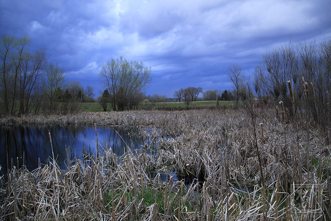 The marsh area at the #Cambridge  Lake District Preserve. (4-16-2024) #KevinPochronPhotography #kjpphotography 

#Canon #CanonFavPic #ShotOnCanon #Canon60D #Photography #NaturePhotography #Nature #water #trees #marsh #sky #Clouds #spring #Wisconsin #Storm #cattails 

@CanonUSA