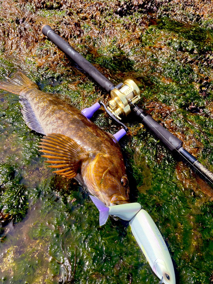 MiuAngler's tweet photo. 喰わせのトリガー
#deps
#drt
#SIDEWINDER
#TheDOMDRIVERSPECIALEDITION
#KLASH9 https://t.co/ZbD0SHa42Z