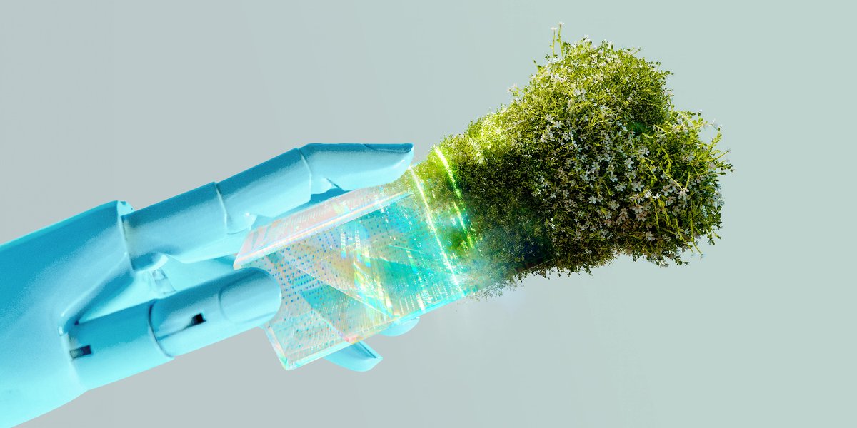 Wake up Communications tweet media