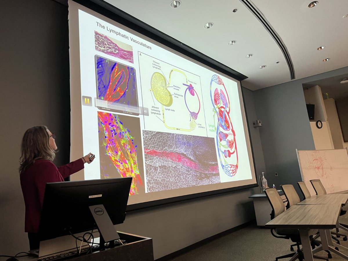 🔔#ICYMI! Last week, @EmoryGastroHep hosted their inaugural Emory Digestive Disease Initiative (EDDI) Shanthi V. Sitaraman Symposium—a celebration of GI research and the multi-institution network within the Digestive Diseases community. Kudos to the team on a great event!